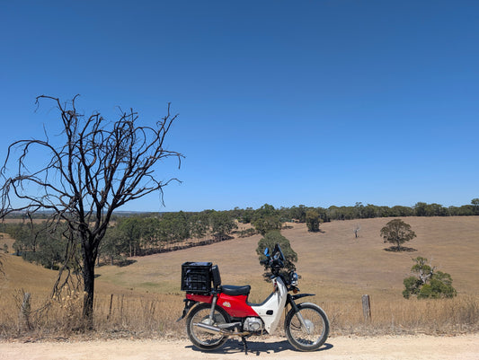 About our Shop Bike
